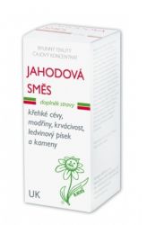 Dědek kořenář Jahodová směs UK 100 ml krabička