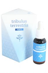 Energy Tribulus Terrestris forte 30 ml - původní