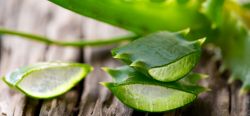 Léčivé účinky aloe vera - zázrak z přírody!