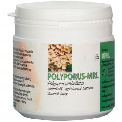 MRL Polyporus umbellatus - Choroš oříš - prášek 250 g