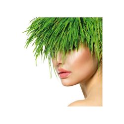 Maxivitalis Vlasové hnojivo šampon