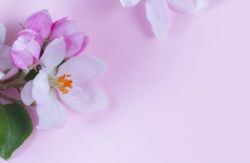 24.04.2023 - OTEVÍRACÍ DOBA Vinotéky Vínečko při květnových svátcích