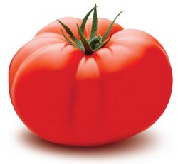 LR rajčatová polévka Juicy Tomato 488 g
